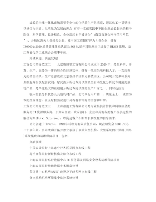 精编之工贸公司简介范文.docx
