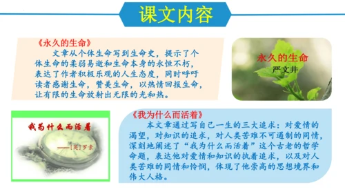 第四单元（单元复习课件）-八年级语文上册同步备课系列（统编版）(共34张PPT)
