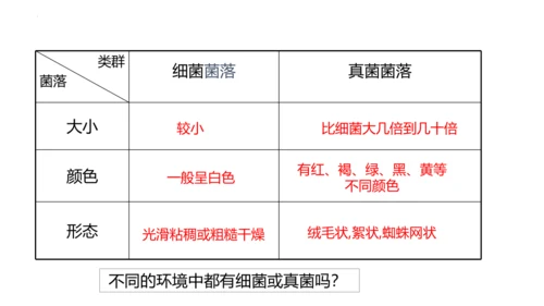 人教版生物八年级上册5.4.1《细菌和真菌的分布》课件(共22张PPT)