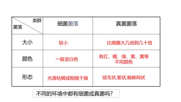 人教版生物八年级上册5.4.1《细菌和真菌的分布》课件(共22张PPT)