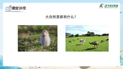 人教版一年级美术下册2.《走进大自然》课件（23页）