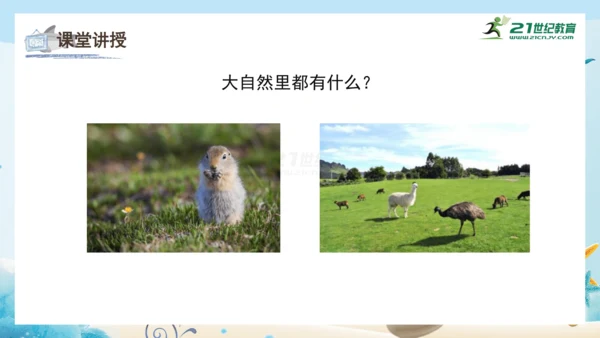 人教版一年级美术下册2.《走进大自然》课件（23页）