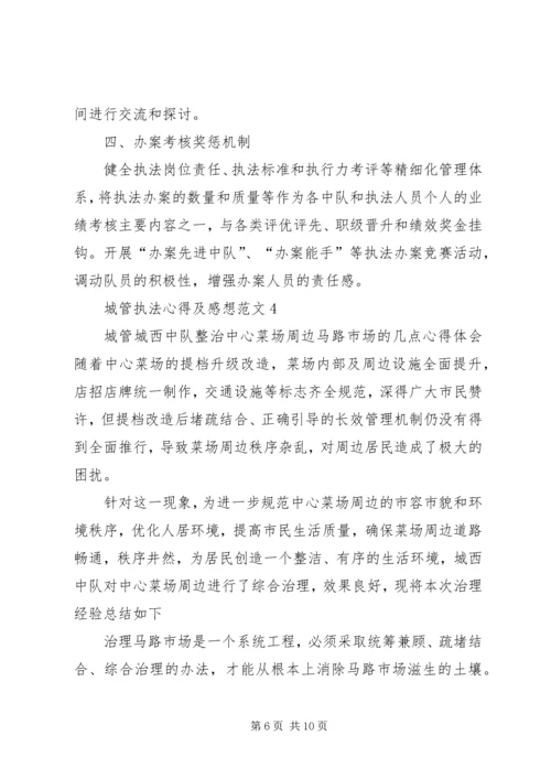 城管执法心得及感想多篇.docx