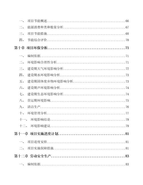 天津运动鞋履项目申请报告范文样例