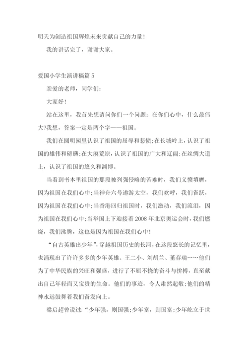 爱国小学生演讲稿5篇.docx