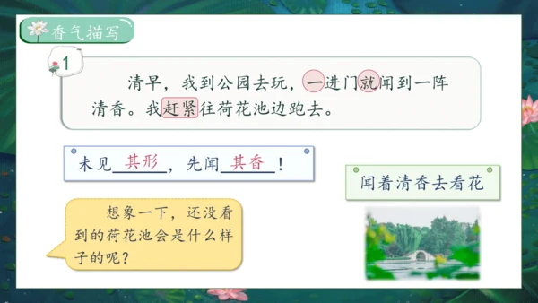 【核心素养】部编版语文三年级下册-3. 荷花 第1课时（课件）
