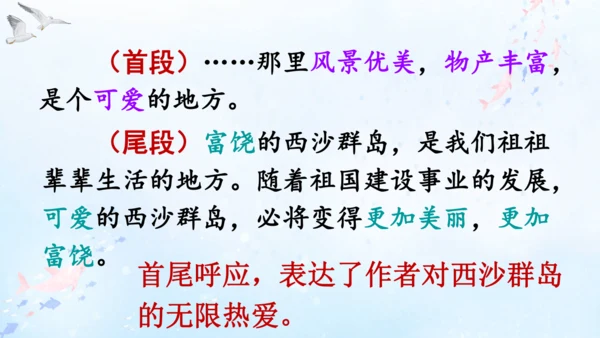 18.富饶的西沙群岛   课件