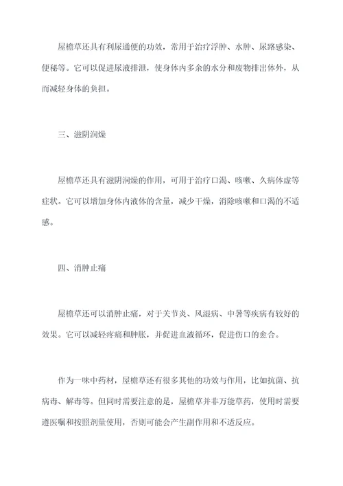 屋檐草功效与作用