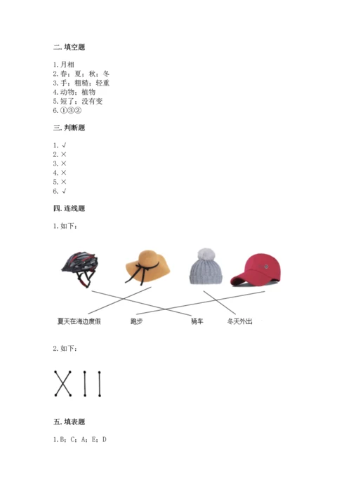 教科版二年级上册科学期末测试卷精品【典优】.docx