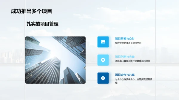 20XX年度绩效与挑战