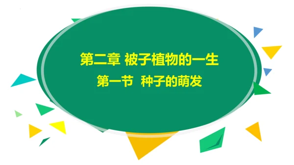 3.2.1 种子的萌发 2023-2024学年七年级生物上册精品教学课件（人教版）(共19张PPT)