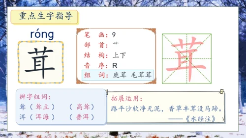 【核心素养】部编版语文四年级下册-11.白桦 第1课时（课件）