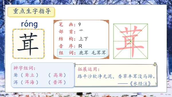 【核心素养】部编版语文四年级下册-11.白桦 第1课时（课件）