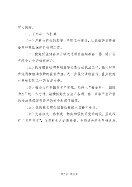 粮食局上半年工作总结及下半年工作计划.docx