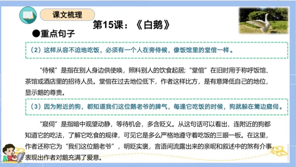 统编版四年级语文下册单元复习第四单元（复习课件）