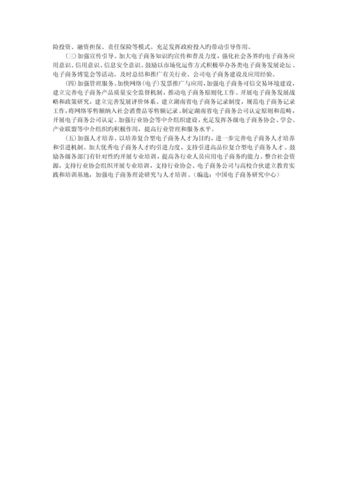 湖南省电子商务发展规划.docx