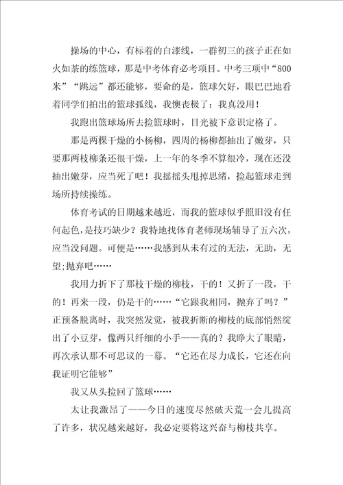 感悟自然初三作文