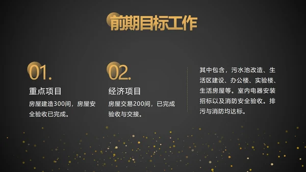 黑金工作项目总结汇报ppt模板