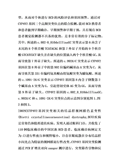 检测cyp4v2基因常见突变的试剂盒的制作方法