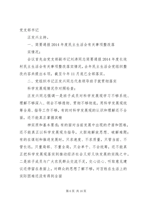 专题民主生活会会议记录.docx