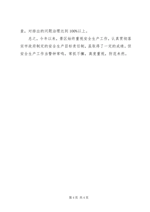 安全标准化实施情况汇报 (5).docx
