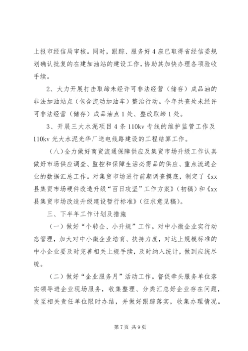 乡镇经信局上半年重点工作总结及工作计划.docx