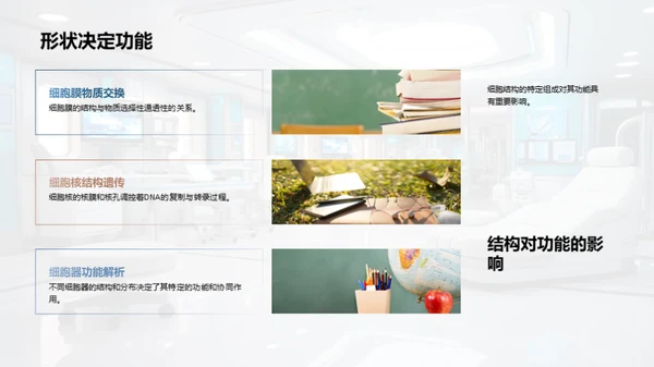 探索细胞之谜
