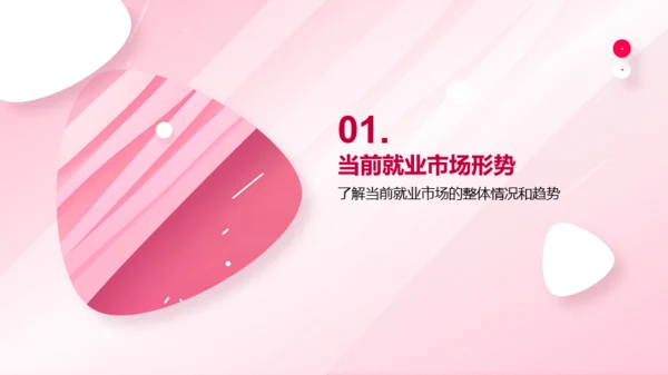 粉色简约风大学生职业生涯规划书