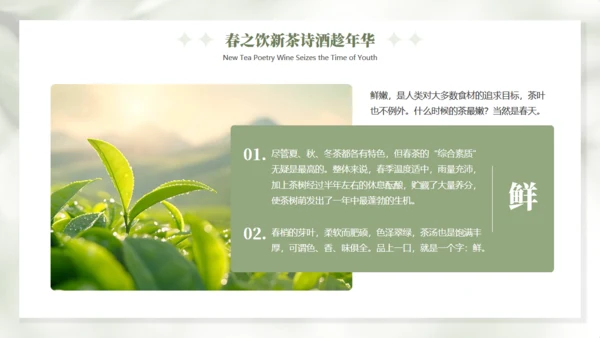 春天的仪式感春天主题通用PPT模板