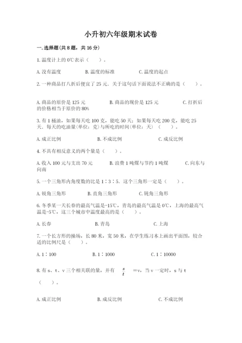 小升初六年级期末试卷（实用）word版.docx