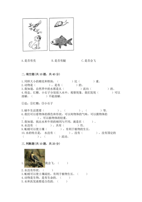 教科版一年级下册科学期末测试卷（考试直接用）.docx