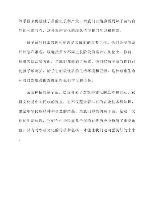 看亲戚种的辣子苗感言