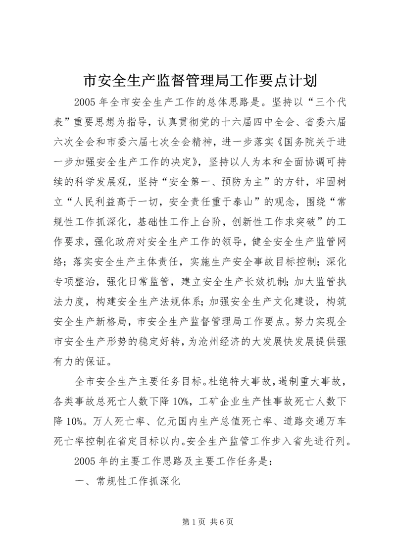 市安全生产监督管理局工作要点计划.docx