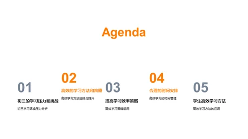 初三学霸攻略