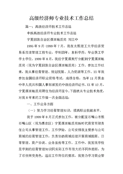 高级经济师专业技术工作总结