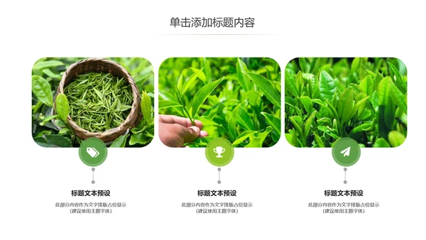 茶文化茶叶绿茶产品介绍动态PPT模板