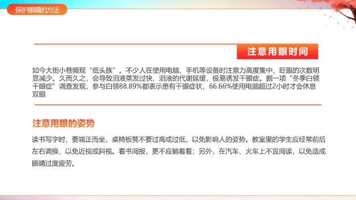 国际盲人节主题科普宣传PPT