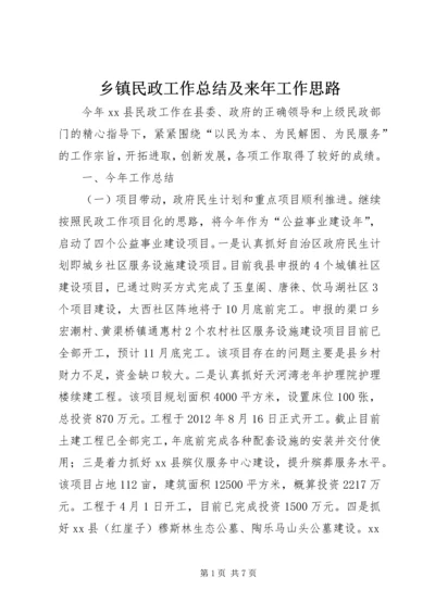 乡镇民政工作总结及来年工作思路.docx