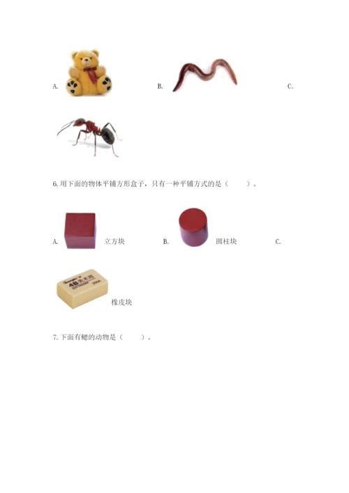 教科版一年级下册科学期末测试卷及参考答案（综合卷）.docx