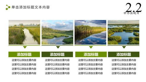 清新简约世界湿地森林日绿色环保PPT模板