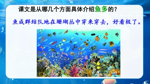 第18课《富饶的西沙群岛》课件