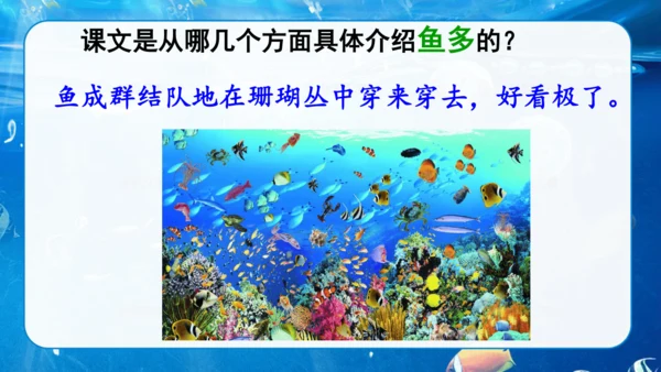第18课《富饶的西沙群岛》课件