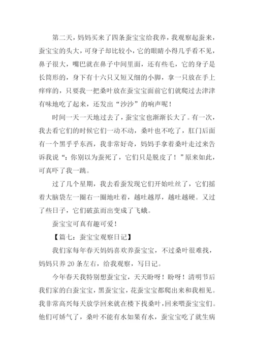蚕宝宝观察日记300字.docx