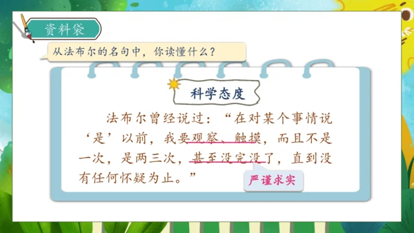 【核心素养】部编版语文三年级下册-14. 蜜蜂 第1课时（课件）