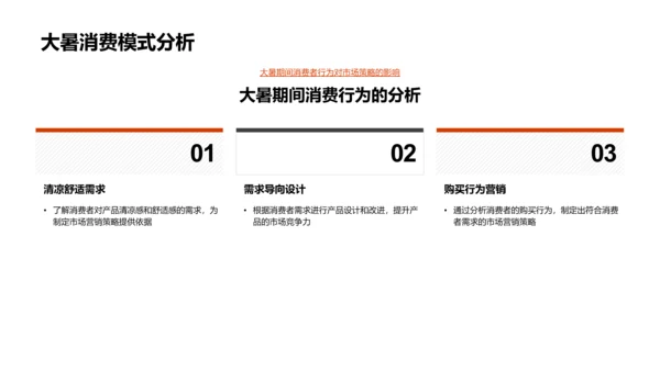 大暑营销策略报告PPT模板