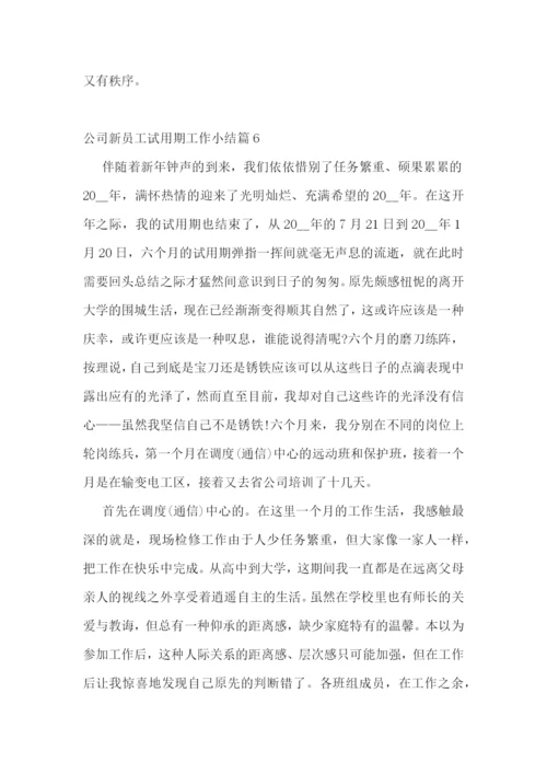 公司新员工试用期工作小结.docx