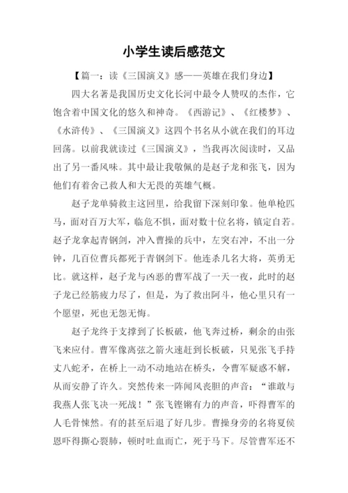小学生读后感范文.docx