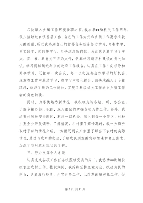 某年到乡镇挂职锻炼的工作总结范文.docx