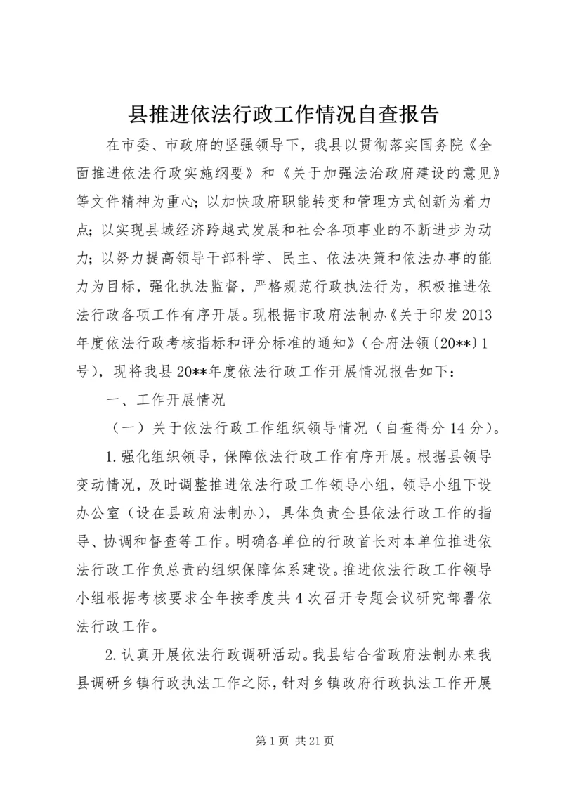 县推进依法行政工作情况自查报告.docx