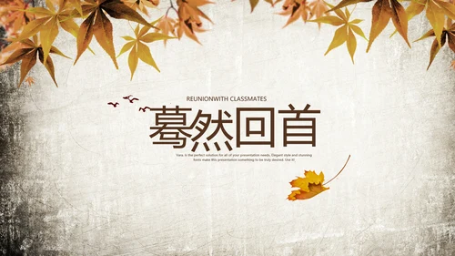 怀旧风格20年同学联谊会PPT模板